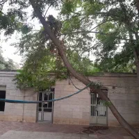 سرایداری و نظافتچی