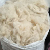 حلاجی پشم دیدمه و سومک