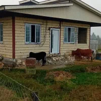 صفر تا صد کار ساختمانی