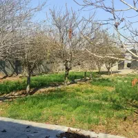 باغ توس ۹۷ معاوضه با خودرو