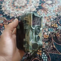 دوربین تله ای|کوهنوردی و کمپینگ|ری, دولتآباد|دیوار