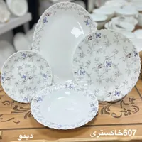 آرکوپال درجه یک برند مقصود،دینو،گلدن اوپال|ظروف سرو و پذیرایی|کوهدشت, |دیوار