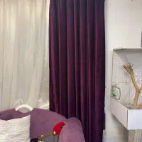 پرده مخمل کالیفرنیا  پانچ