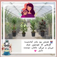 هدیه ی روز مادر رسید