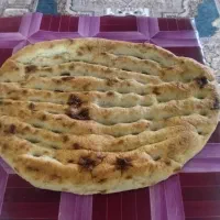 شاطر هستم ‌نیاز به کار