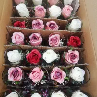 گل مصنوعی با گلدانهای شیشه ای استوانه ای|گل مصنوعی|تهران, یافت آباد جنوبی|دیوار