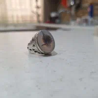 شجر زنده با رکاب دستساز