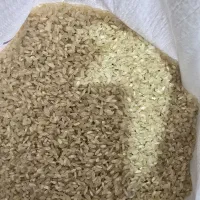 برنج کامفیروزی