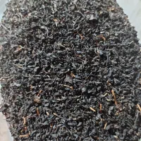 چای شاهپسند لاهیجان|عمده‌فروشی|لاهیجان, کوی آزادگان|دیوار