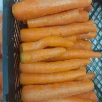 استخدام نیروی خانوم جهت بستنی فروشی