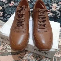 کفش|کیف، کفش، کمربند|صحنه, |دیوار