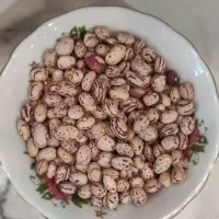 لوبیا|خوردنی و آشامیدنی|خوانسار, |دیوار