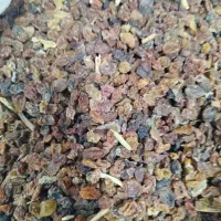 پخش عمده و جزیی کشمش آفتابی ، مویز ،|خوردنی و آشامیدنی|اهواز, منبع اب|دیوار