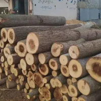 خدمات برش انواع چوب در باغ