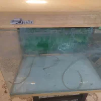 اکواریوم برند یو