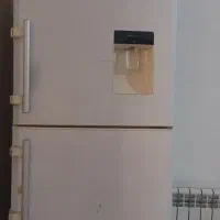 یخچال فریزر الکترو استیل