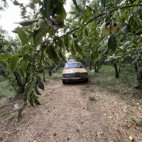 بنز کلاسیک ۲۳۰ دانشجویی|خودرو کلاسیک|کرج, حصارک بالا|دیوار