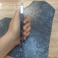 ایفون ۱۳ پرو|موبایل|تبریز, |دیوار