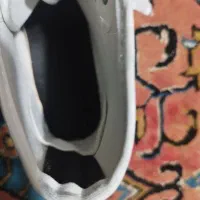 کفش زنانه|کیف، کفش، کمربند|اهواز, لشکرآباد|دیوار