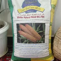 بذر ذرت مغان ۷۰۴