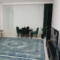 دو عدد فرش ۹متری
