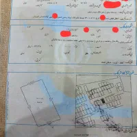 ۹۷ زمین بر خیابان اصلی اتحاد کوسه سند دار