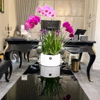 استخدام آبدارچی در دفتر املاک زعفرانیه
