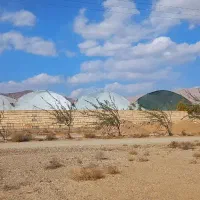 فروش گلخانه