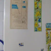 یخچال هیمالیا ۲۰ فوت|یخچال و فریزر|زرگرشهر, |دیوار