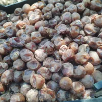 خرما|خوردنی و آشامیدنی|چمران, |دیوار