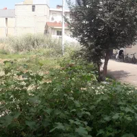 فروش زمین ۱۰۸ متری دوبر در حمیدیان موسی پور|فروش زمین و ملک کلنگی|رشت, پاره بیجار|دیوار