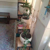 استند گل و گیاه معاوضه با بعضی چیزها|صنایع دستی و سایر لوازم تزئینی|رفسنجان, |دیوار