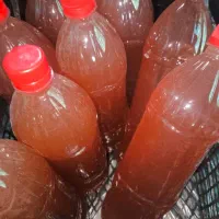 آبغوره طبیعی خونگی