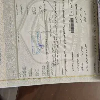 تیگو 7پرو پینیوم فول 1403 تک برگ سند|خودرو سواری و وانت|تبریز, |دیوار