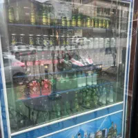 یخچال ایستاده دوطرف نما