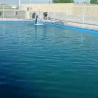 زمین-20000-هزار-متری-ششدانگ-دور-دیوار