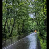 اتاق اجاره ای مسافر خانه هتل مهمانپذیر/ تهرانی