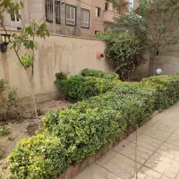 انجام انواع خدمات باغبانی و فضای سبز|خدمات باغبانی و درختکاری|کرج, جهان‌شهر|دیوار