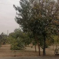 فروش ویلایی 253 متری بنیادازدواج 5/800/000/000|فروش خانه و ویلا|شاهینشهر, بنیاد ازدواج|دیوار