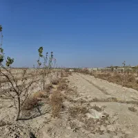 زمین کشاورزی|فروش زمین و ملک کلنگی|صباشهر, |دیوار