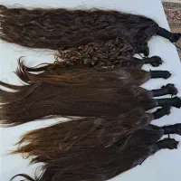خریدار موی طبیعی با بالاترین قیمت واریزدر لحظه