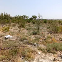 فروش-باغ-در-نجم-آباد