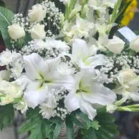 بلیط کنسرت عرفان طهماسبی