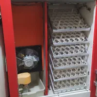 دستگاه جوجه کشی کاکل پری