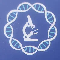 استخدام حسابدار امادگاه