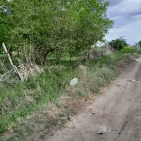 6 من محلی زمین کشاورزی واقع در روستای گوروان|فروش دفتر صنعتی، کشاورزی، تجاری|عجب شیر, |دیوار