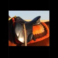 زین استاتوس