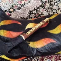 نی انبان نی همبون