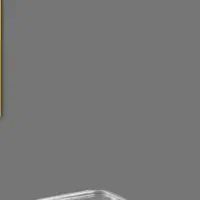 ظرف یکبار مصرف عسلی کوتاه