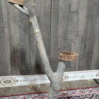 استند طبیعی درختچه|صنایع دستی و سایر لوازم تزئینی|دشتابی, |دیوار